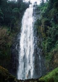 Materuni Waterfall Day Trip Tanzania Safari with the best price tour Materuni Waterfall Day Trip Tanzania Safari with the best price tour