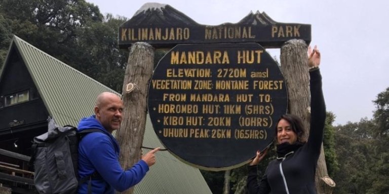 Kilimanjaro Day Hike Tour