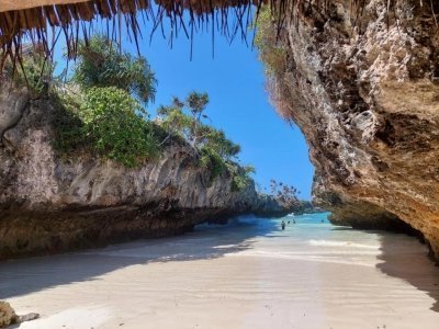 Full-day Zanzibar Tour with Dolphin Full-day Zanzibar Tour with Dolphin
