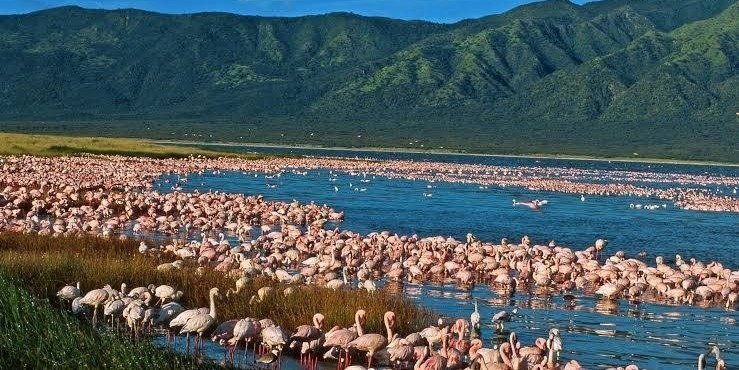 14 DAYS OF KENYA SAFARI AND COMMUNITY SUPPORT PROGRAMS  FROM NAIROBI.