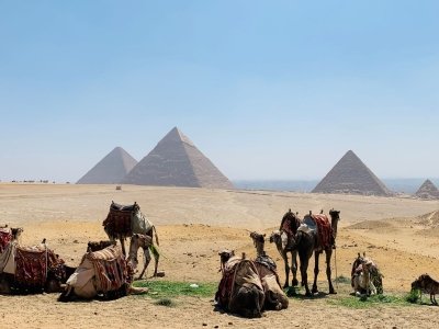12 Day Egypt Tour: Cairo, Alexandria, Hurghada, and, Nile Cruise