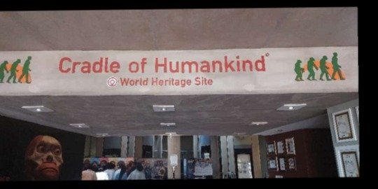 Cradle of Humankind Half-Day Tour