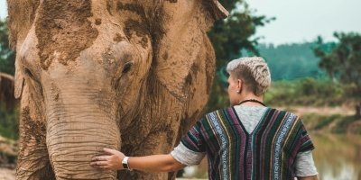 Sightseeing Day-Tours