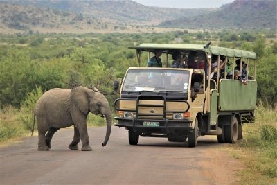 Pilanesberg National Park Full Day Tour