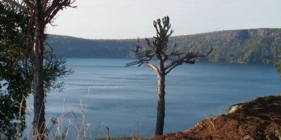 Boat Trips & Charters