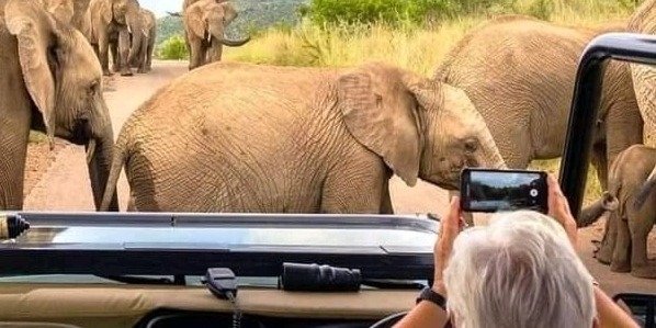 Day trip to tarangire national parks