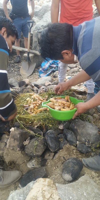 Gastronomy Tour - Tradional peruvian dish PACHAMANCA