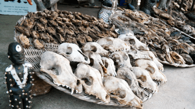 3 Day Benin Adventure Tour