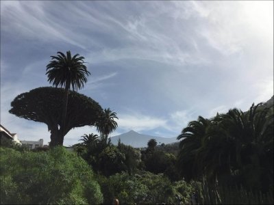 Grand Tour Tenerife - The Longest VIP Private Tour on the Island