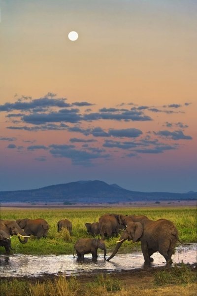 3 days 2 night Maasai Mara Kenya