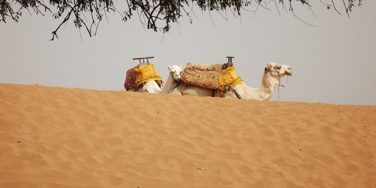 Share Massa Mini Sahara Dunes from Agadir