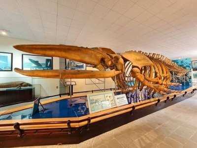 Nha Trang City Half-Day Tour