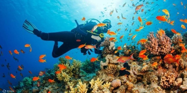 Nha Trang: Scuba Diving Experience for Certified Divers