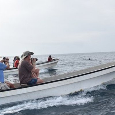 Group  Tour Mnemba with Nungwi Village