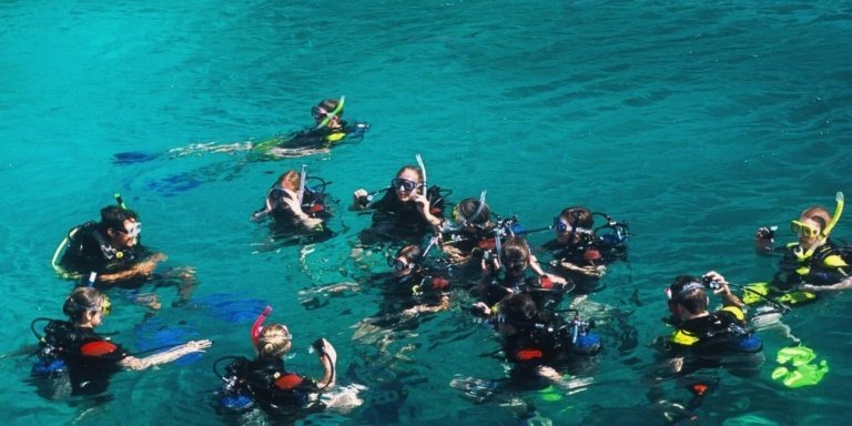 Nha Trang: Snorkeling Tour at Coral Reef