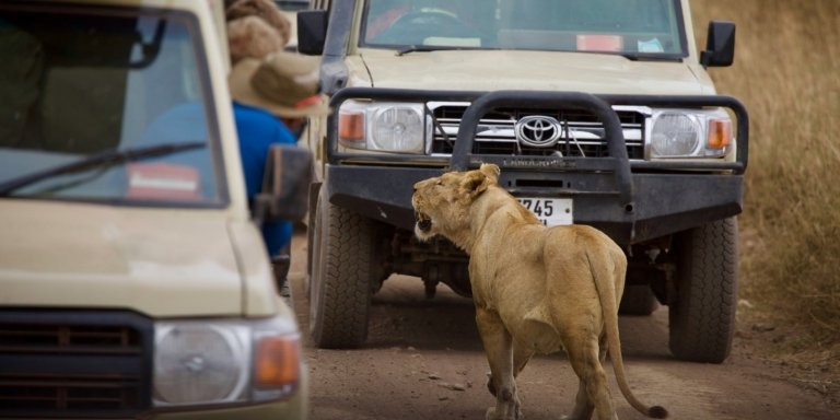 5 Days Private Budget Tanzania Safari