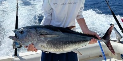 Fishing Tours & Charters