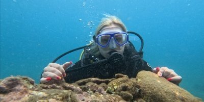 Multi-Day Tours & Cruises