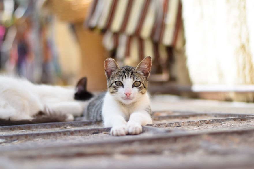 Rashid an Excellent guide in Marrakech
