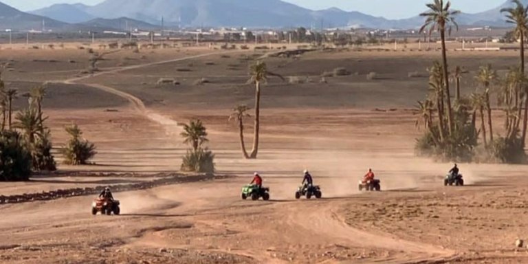 Desert of the palm grove of Marrakech: Discover in Quad