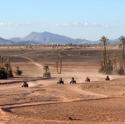 Desert of the palm grove of Marrakech: Discover in Quad