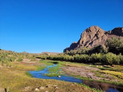 Fint Oasis Private Day Hike