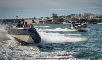 Lisbon: Dolphin Watching Boat Tour
