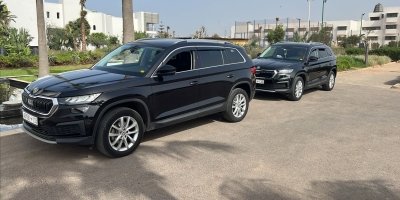 Transfers & Round-Trips