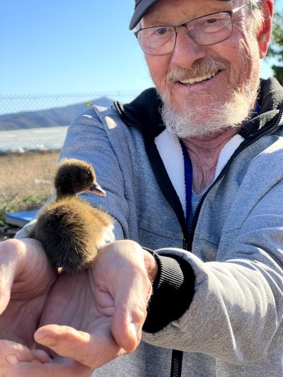 Astronomy Night in Finca Astronomica