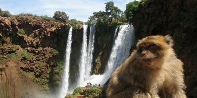 Full day trip Ouzoud waterfalls with Guided Walk