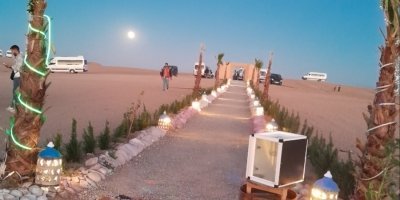 Shows & Entertainment