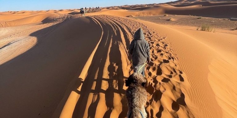 13-day morocco tour to explore the imperial cities and the desert