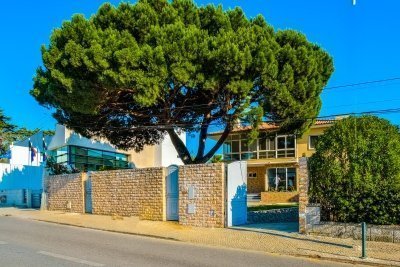 6 Day Beginner to Advanced Surf Camp in Cascais, Lisbon