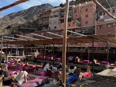 From Marrakech: Day Trip To Ourika Valley with Local guide