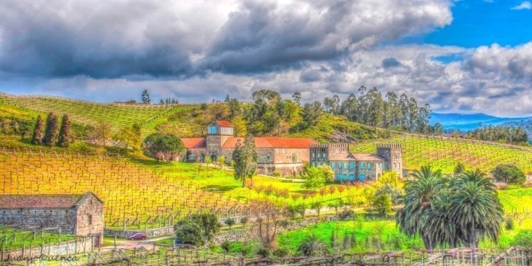 The wine trails of Albariño, private tour