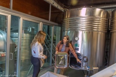 The wine trails of Albariño, private tour
