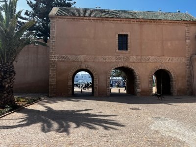 From Marrakech To Essaouira Mogador Full Day Trip | Small-group