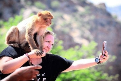 Full-Day Tour to Ouzoud Waterfalls