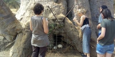 Senegal Culture History and Nature 12 Days/11 Nights