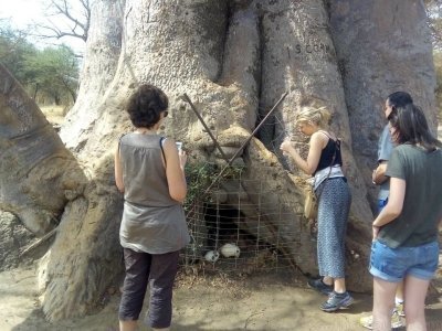 Senegal Culture History and Nature 12 Days/11 Nights