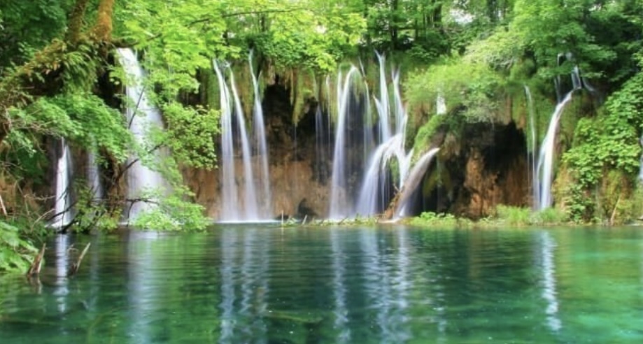 Amazing Cuc Phuong National Park Tour