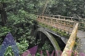 Cuc Phuong National Park Tour from Hanoi - Overnight Trip Cuc Phuong National Park Tour from Hanoi - Overnight Trip