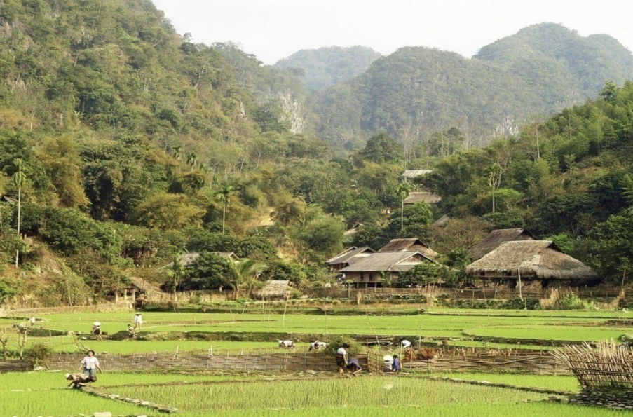 Peaceful and Scenic Mai Chau Experience
