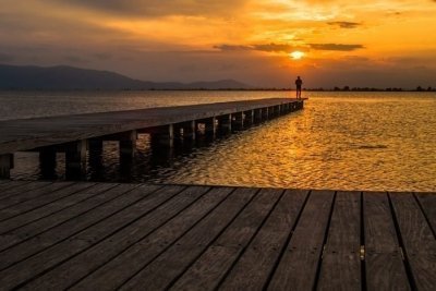 Photographic sunset among flamingos