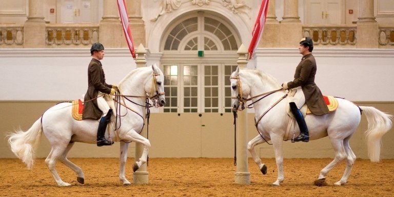 VIENNA: The Lipizzaner Stallions: Morning Exercise and Stable Tour