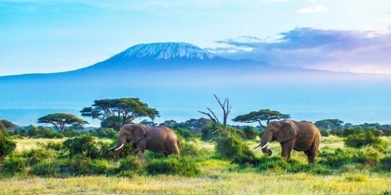 Tanzania Private Safari - 5 days Adventure Trip