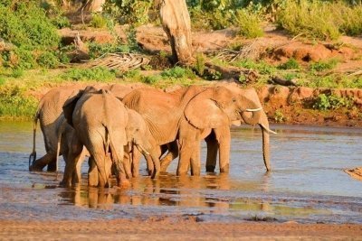 Tanzania Private Safari - 5 days Adventure Trip Tanzania Private Safari - 5 days Adventure Trip