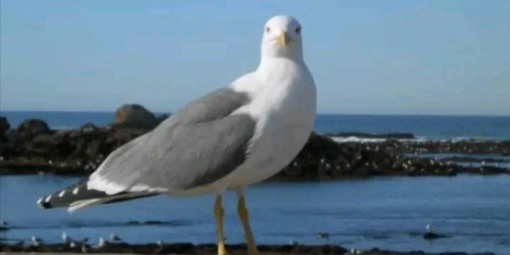 Visit to the Imperial Cities, the Atlas, the Desert and the Atlantic C