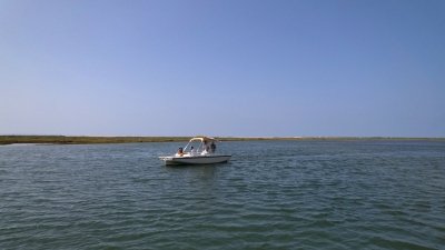 1-Hour Ria Formosa Eco Boat Tour