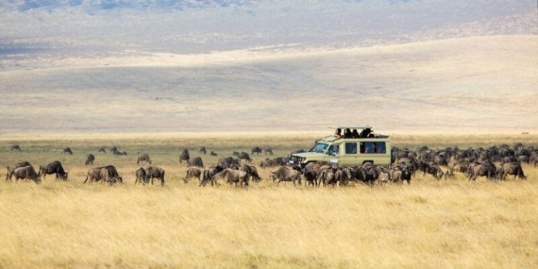 Best of Tanzania Wildlife Safaris - 3-day Private Tour